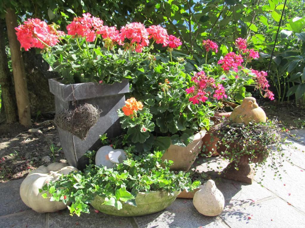 Garni Weghueb Bed & Breakfast Rablà Dış mekan fotoğraf